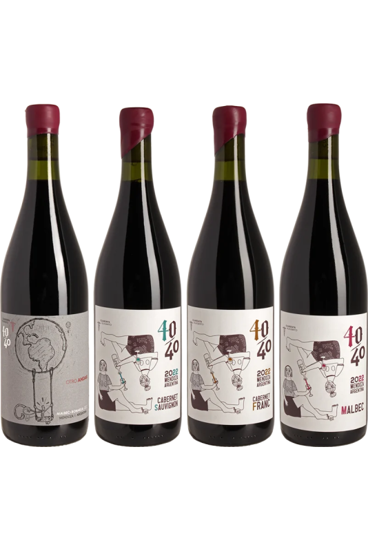 Vino 40/40 - Lucas Pfister Mendoza Fine Wine - Paket