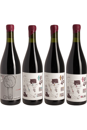 Vino 40/40 - Lucas Pfister Mendoza Fine Wine - Paket