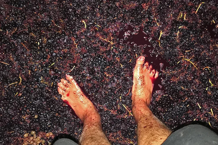 Artuke Wein mit dem Fuß einstampfen
