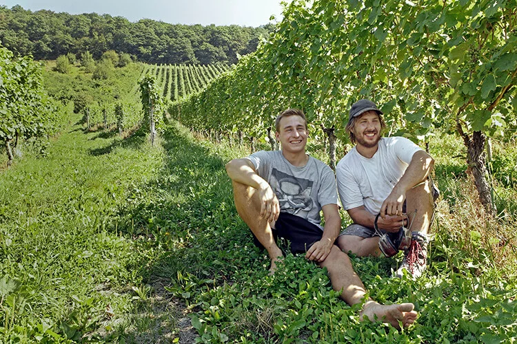 Fio Wines: Niepoort und Kettern sitzen zwischen Reben im Weinberg